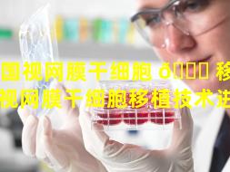 英国视网膜干细胞 🐎 移植（日本视网膜干细胞移植技术进展）